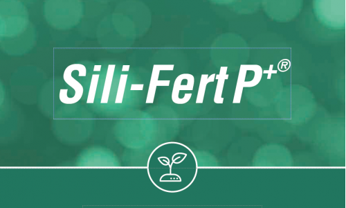 Aus SilProVit PLANTS wird Sili-Fert P+®